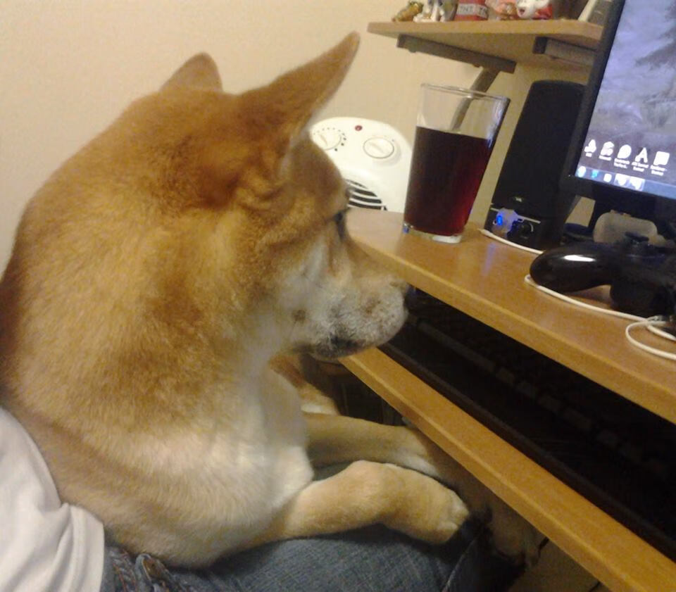 绝杀时刻，莫德里奇闪耀，勒沃库森险胜芬兰对手