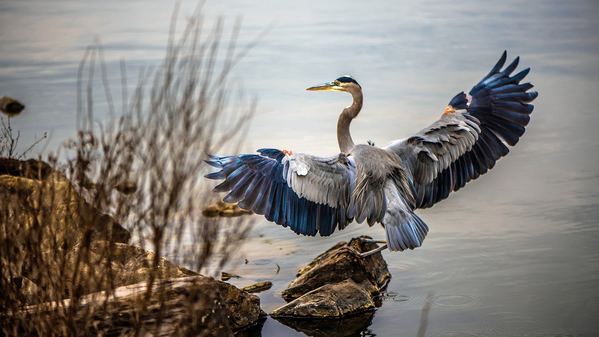 雷霆万钧破活塞，班凯罗关键战不手软，冷血绝杀铸就英雄本色