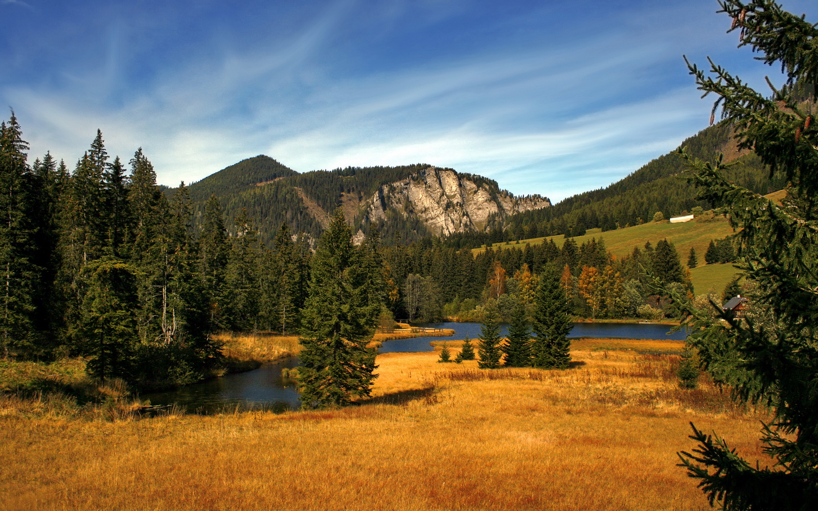 四两拨千斤，戈麦斯关键一球，击碎悬念也敲开奥运之门