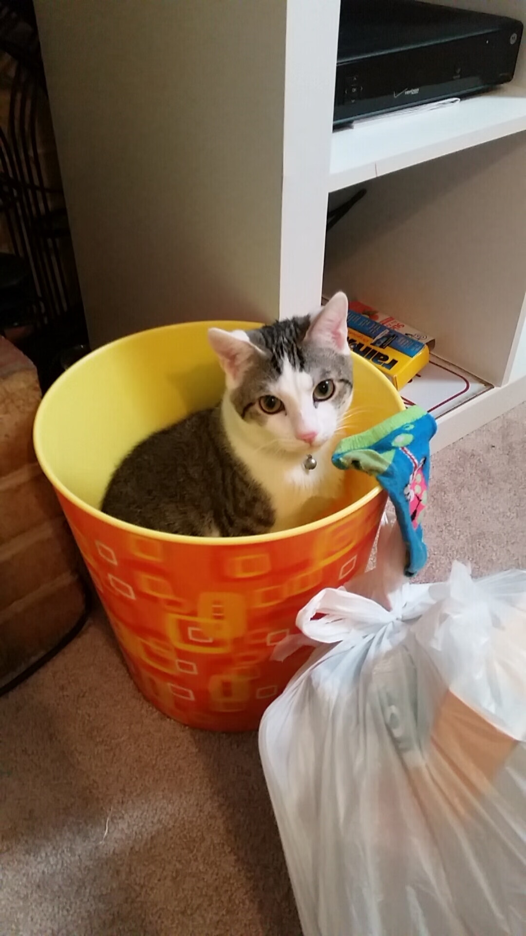 逆转黎明，瑞士的绝杀与劳塔罗的加冕