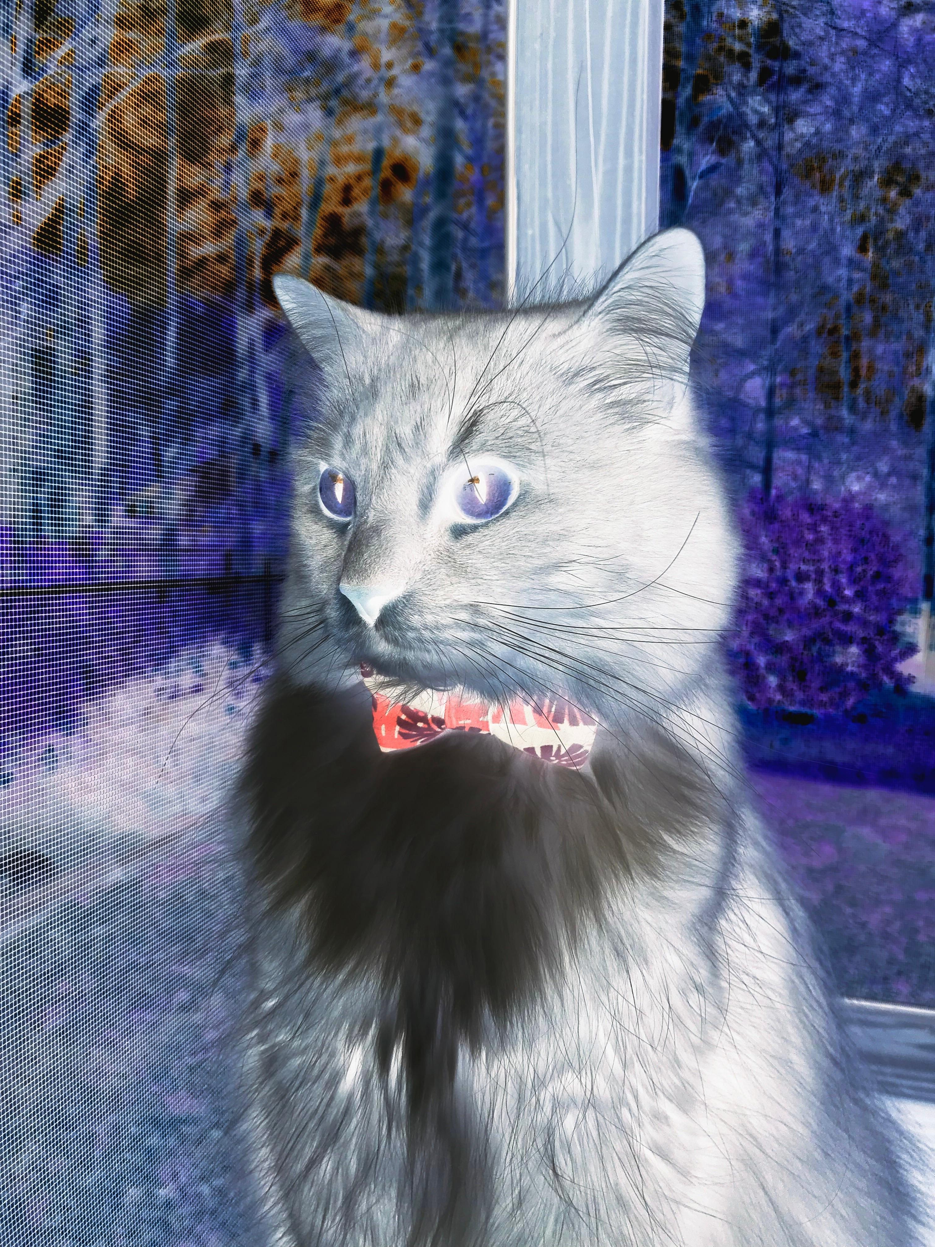 马克西里程碑成空砍，鹈鹕打穿76人显强势