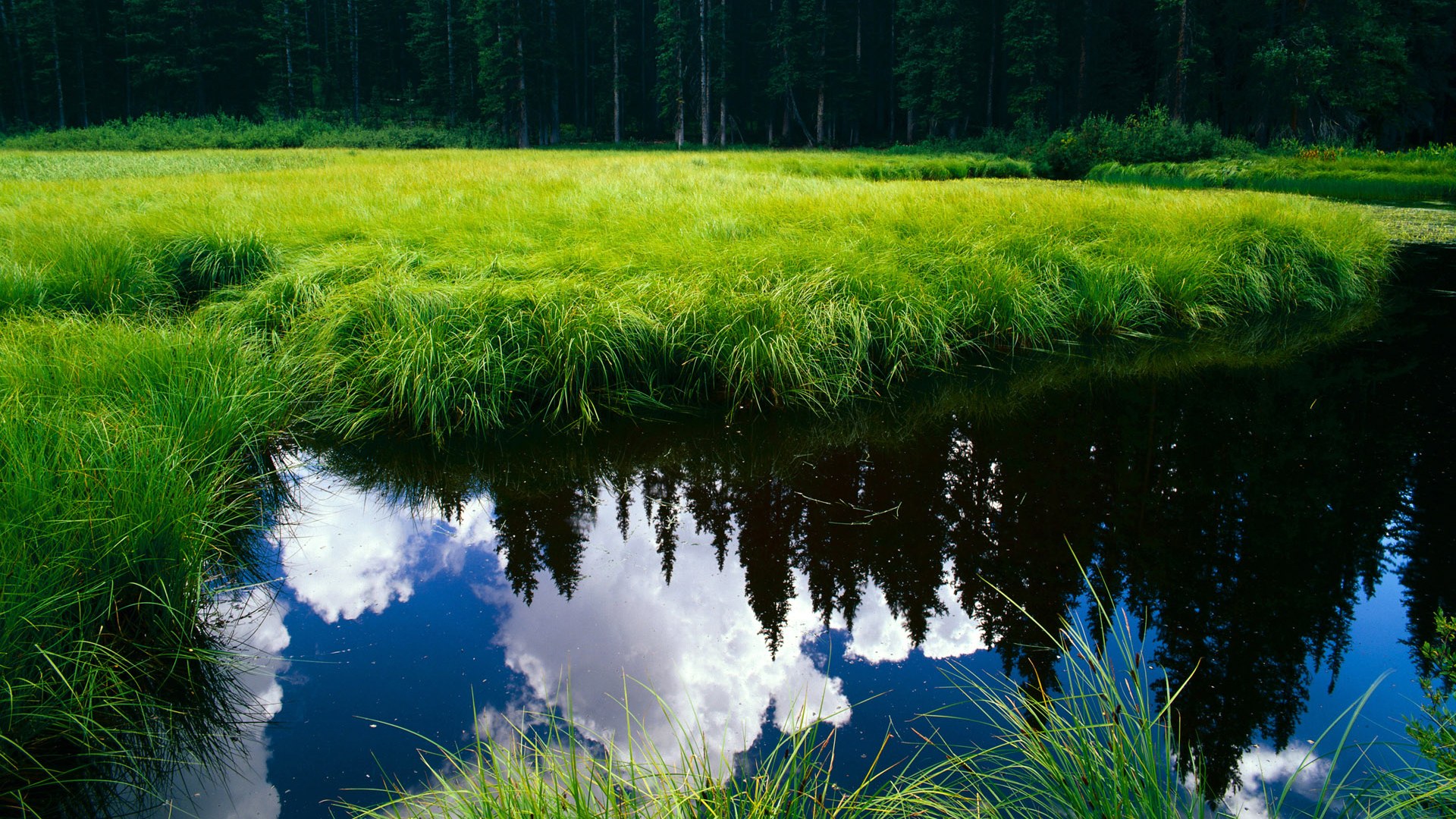 跨越太平洋的里程碑，当北京队见证詹姆斯书写历史