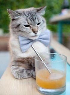 冰与火之歌，弗拉霍维奇的天神下凡，与卡塔尔冷静收割的现代足球寓言