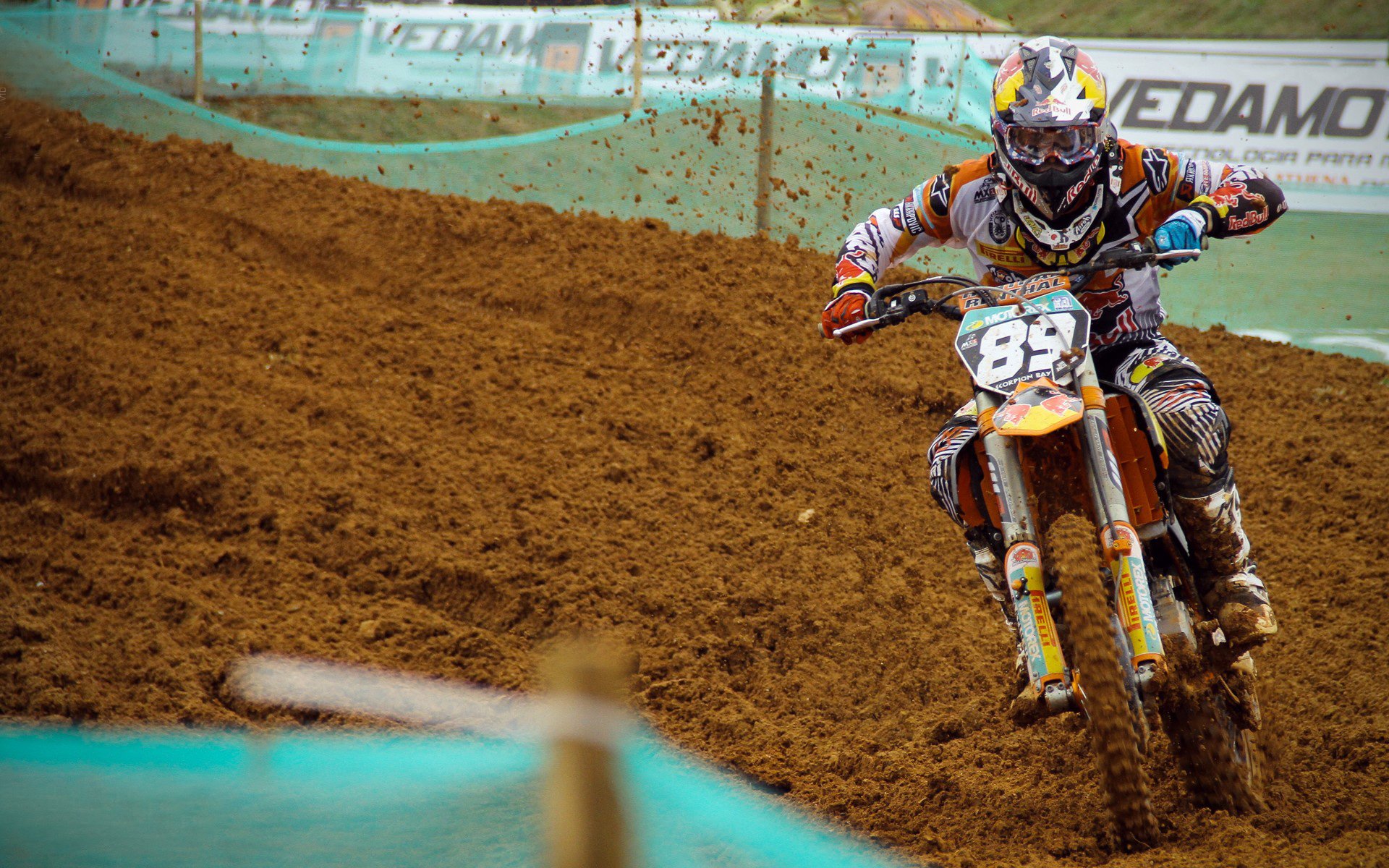 霓虹与草皮，帕尔默在北美之夜的史诗绽放