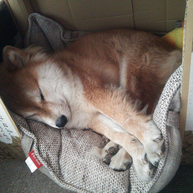 东决关键战之夜，当小贾伦成为对手无解的绝对命题