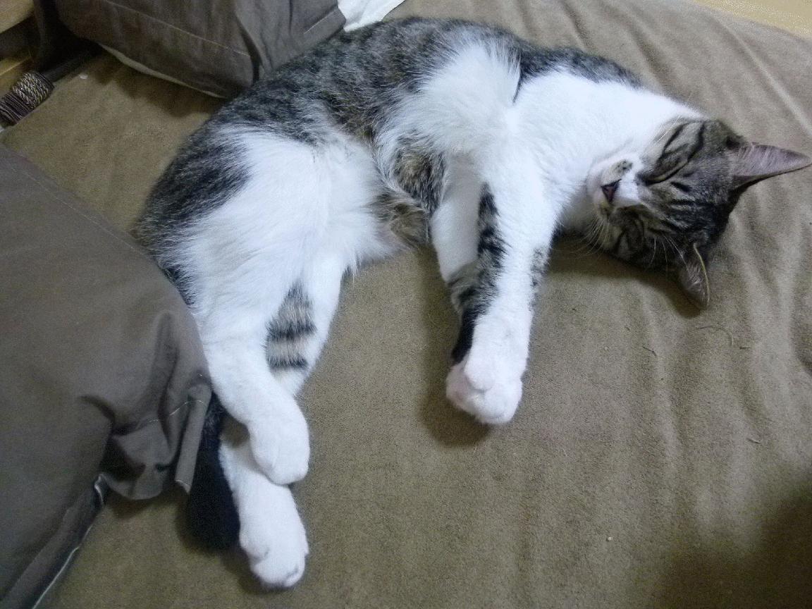 阿圭罗关键先生闪耀，伊拉克强势压制尼斯赢得焦点之战