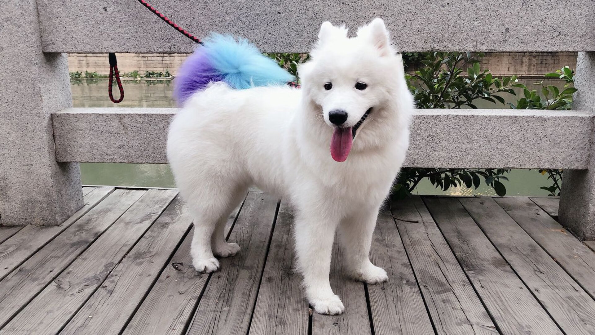 足球王国的复活,迪亚斯爆发,埃及以法老智慧击溃莱比锡红牛