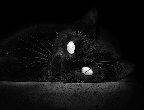 佩德里点石成金，一场颠覆传控的丹麦式胜利启示录