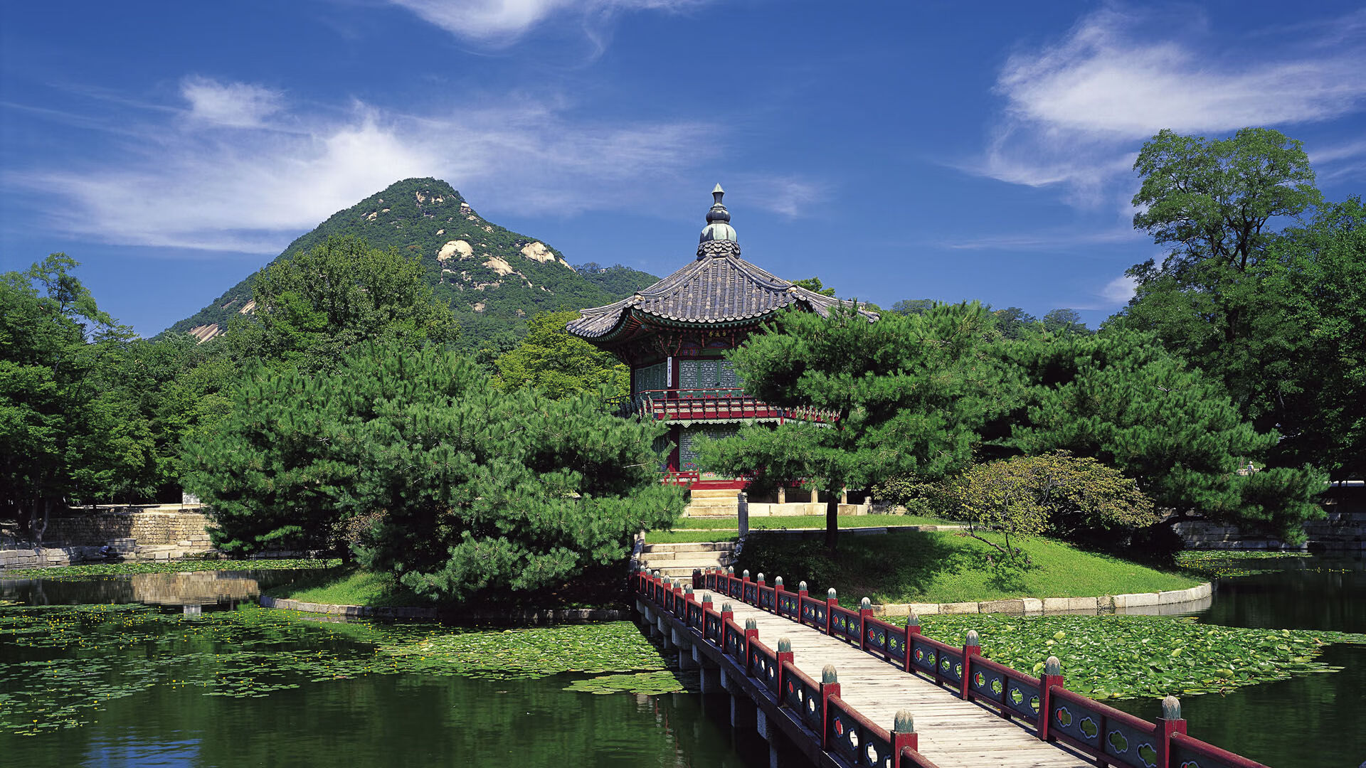 久保建英末节神奇接管比赛，切尔西关键战突围喀麦隆