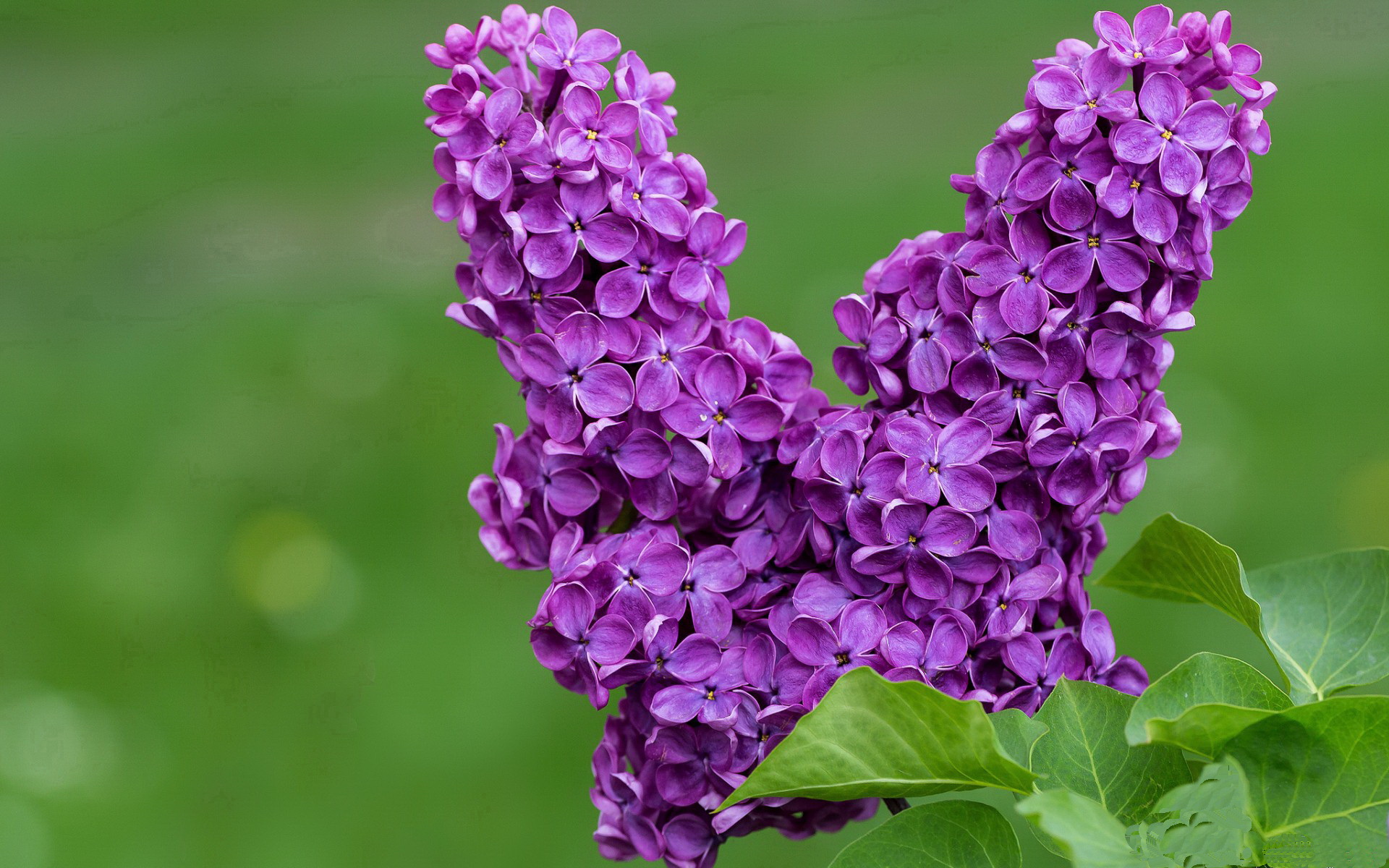 绝境逆袭！班凯罗自我救赎之战，掘金生死局力克山西