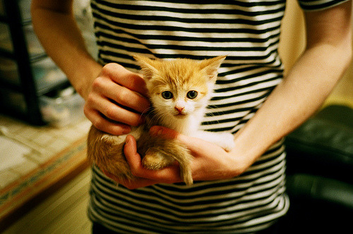 绿茵之巅,从美加墨世界杯焦点战到尤文关键突围,解读足球的战术密码与精神内核