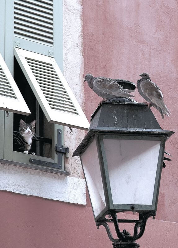 美加墨烽火，里昂轻取那不勒斯，战术纪律击败明星光环